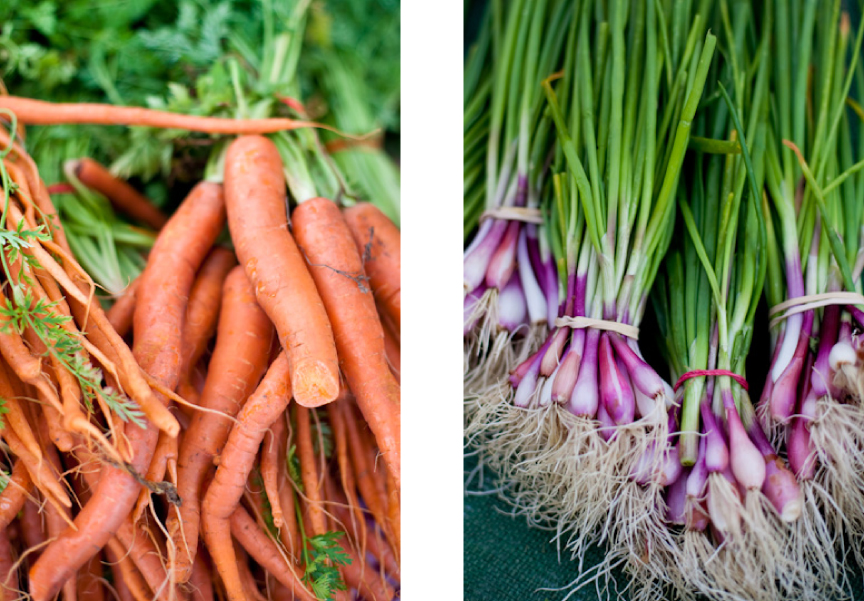 have you been to your local farmer’s market?