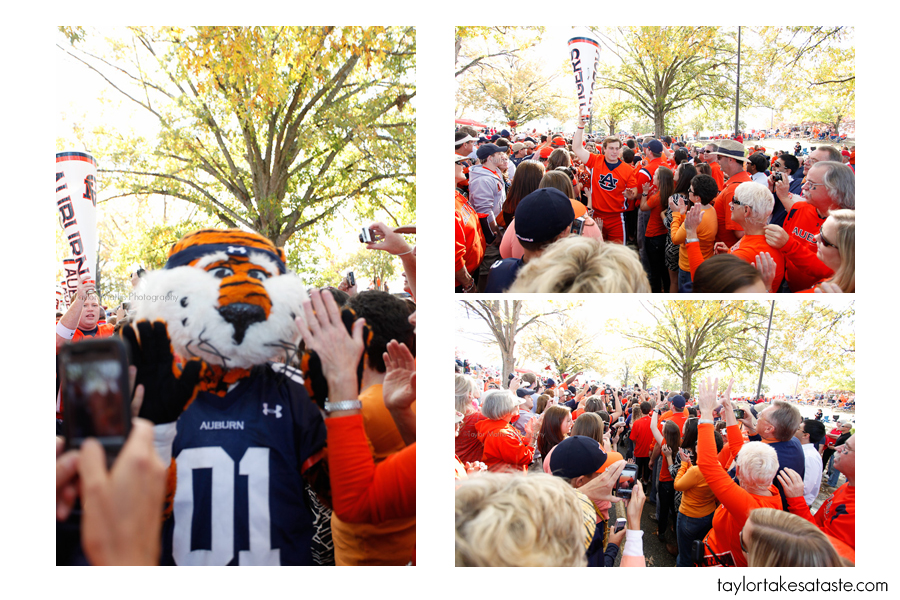 tigerwalk1