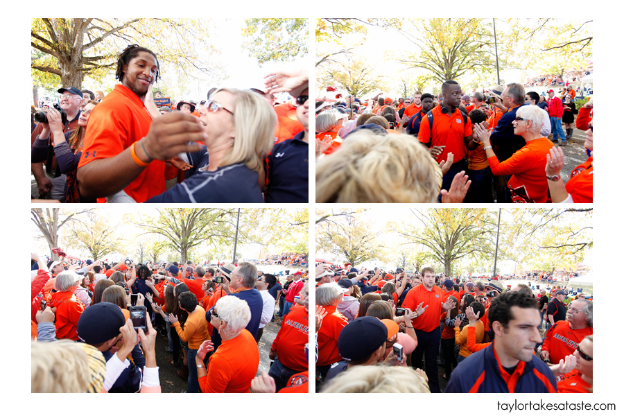 tigerwalk2