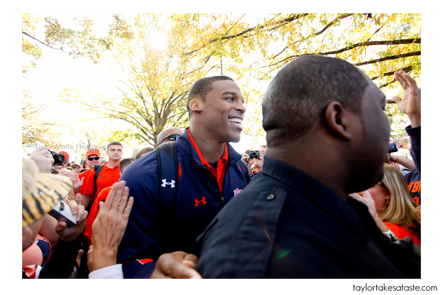 tigerwalk3