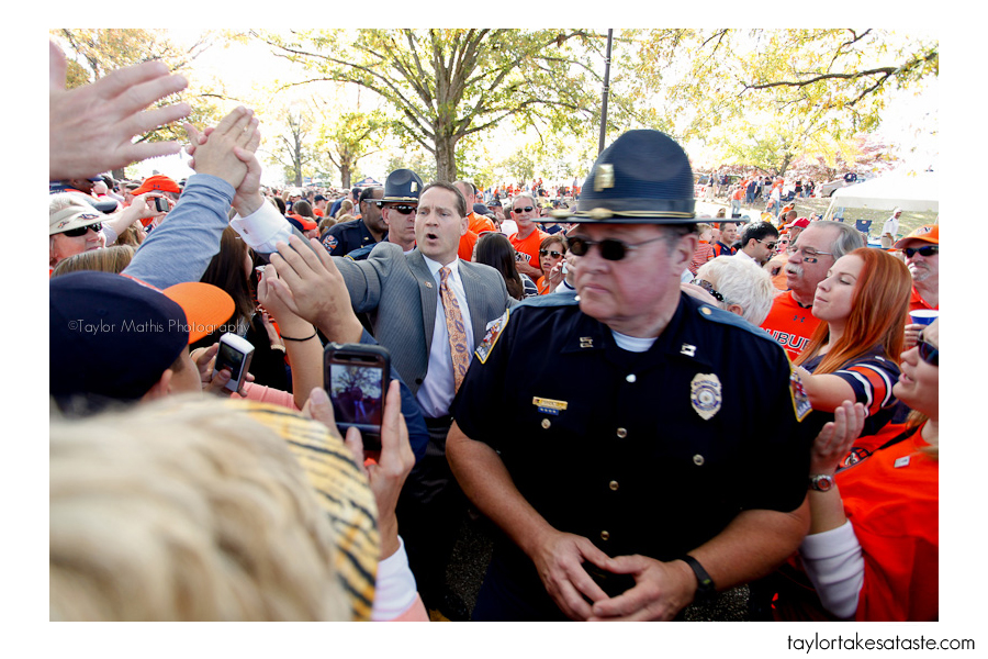 tigerwalk4