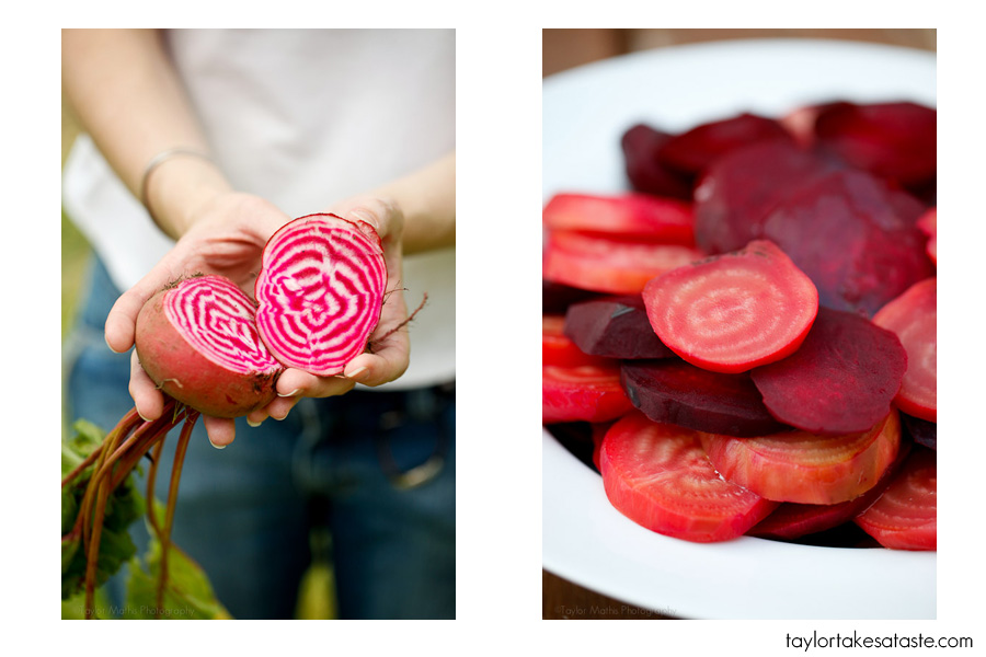 candycanebeet