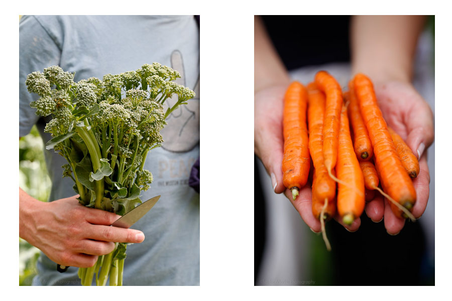 intro_veggies