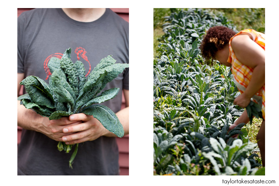 kale1