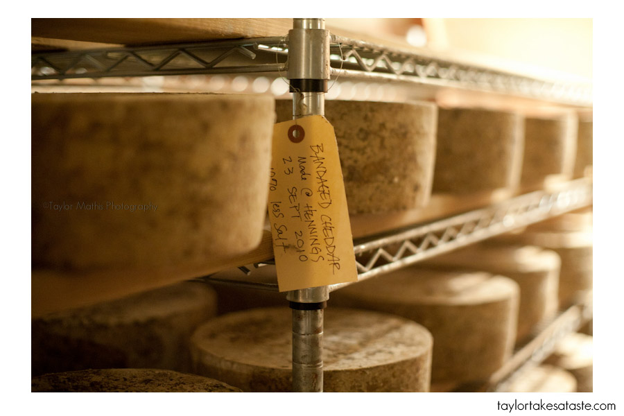 Bandaged Cheddar at Bleu Mont Dairy