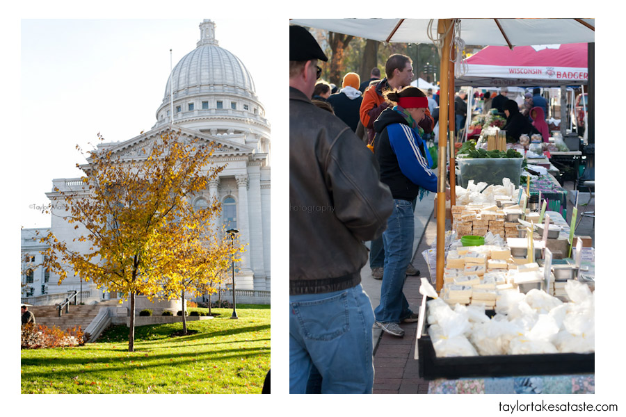 Cheese and Fall in Madison, WI