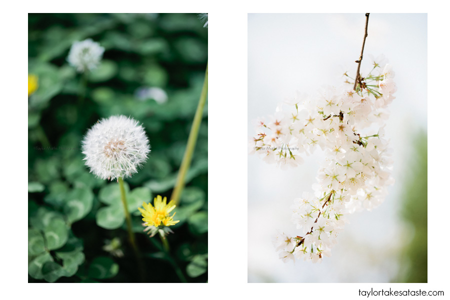 imspiration_buds