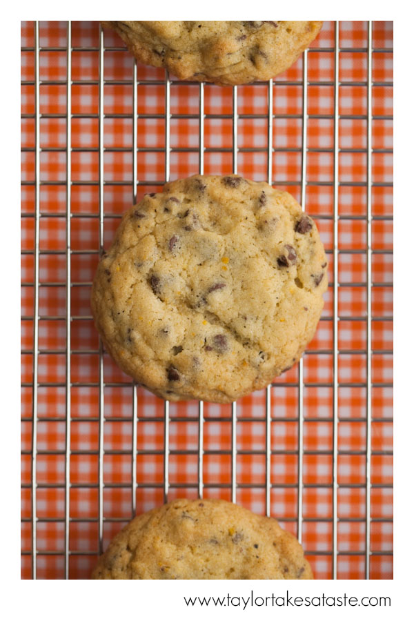 Orange_earl_grey_mini_chip