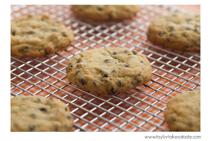 Orange_earl_grey_mini_chip_2